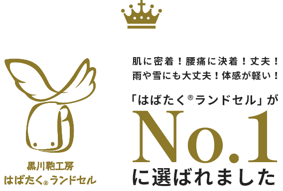 はばたく®ランドセル
				肌に密着！腰痛に決着！丈夫！雨や雪にも大丈夫！体感が軽い！
				「はばたく®ランドセル」がに選ばれました